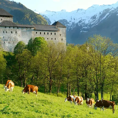 Simone's Platzerl - Inklusive Taeglichem Freien Eintritt Tauern - Nur 5 Gehminuten, Sommerkarte, Privatem Garten Mit Schwimmteich, Grill Und Saunabereich Penzion Kaprun