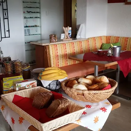 Pensión Simone's Platzerl - Inklusive Taeglichem Freien Eintritt Tauern - Nur 5 Gehminuten, Sommerkarte, Privatem Garten Mit Schwimmteich, Grill Und Saunabereich