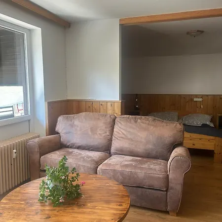 Pensionat Simone's Platzerl - Inklusive Taeglichem Freien Eintritt Tauern - Nur 5 Gehminuten, Sommerkarte, Privatem Garten Mit Schwimmteich, Grill Und Saunabereich Kaprun