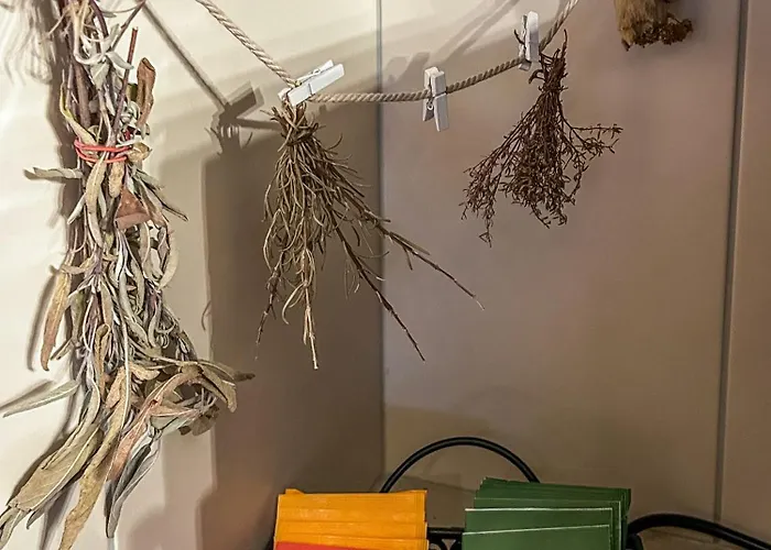 Simone'S Platzerl - Inklusive Taeglichem Freien Eintritt Tauern Spa - Nur 5 Gehminuten, Sommerkarte, Privatem Garten Mit Schwimmteich, Grill Und Saunabereich 3*